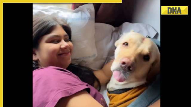 Alia Dog Gal Vidoe Xxx - Viral video: Woman travels with her pet dog on train, Railway Minister  reacts