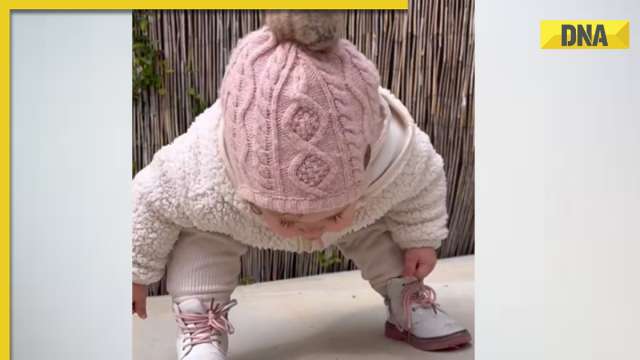 Viral clip of toddler greeting an insect melts hearts online - Vimarsana News