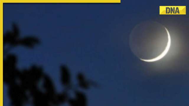 Check moon sighting timings in Saudi Arabia, UAE, other Gulf nations