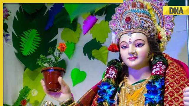 Navratri 2023: Check WhatsApp wishes, greetings, quotes to share as auspicious 9-day festival begins - Vimarsana News