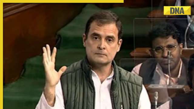 DNA Special: Rahul Gandhi's Lok Sabha report card - Vimarsana News