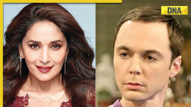 Madhuri Dixit Kichudai - Madhuri Dixit vs The Big Bang Theory explained: Netflix sued for 'leprous  prostitute' comment, know case