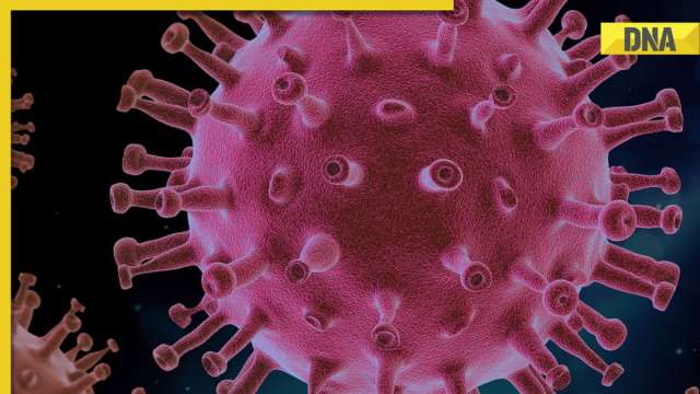Can you get infected by Covid-19 and H3N2 at the same time? Details here - Vimarsana News