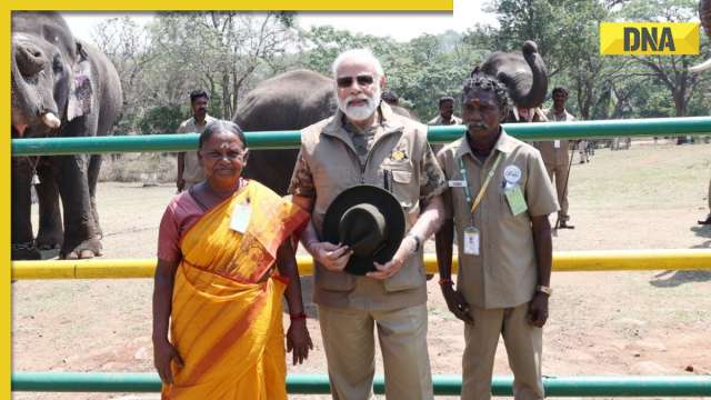 PM Modi poses with The Elephant Whisperers' couple Bomman and Bellie, photos go viral - Vimarsana News