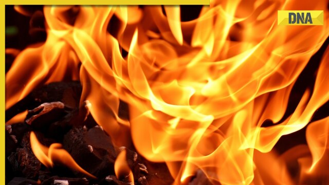 Uttar Pradesh horror: Rape accused beat victim's mother, burn house down in Unnao; 2 infants critical - Vimarsana News