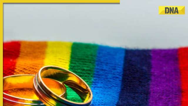 'Not just physical relationship but...': CJI Chandrachud on same-sex marriage - Vimarsana News