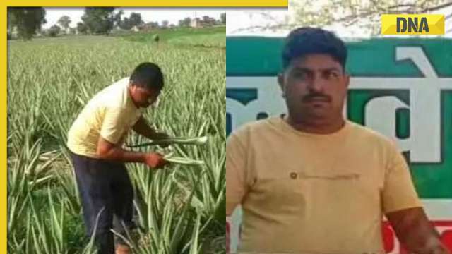 Meet Ajay Swamy, chaiwala-turned-entrepreneur; know how he built a profitable farming business - Vimarsana News