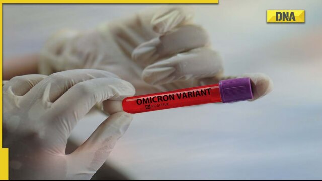Study suggests rodents likely origin of the Omicron variant - Vimarsana News