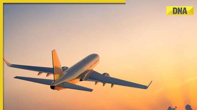 Travel for free by air: Here's how you can get your free flight ticket - Vimarsana News