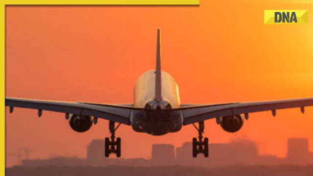 Drunk passenger allegedly 'molests' air hostess in Dubai-Amritsar flight, arrested - Vimarsana News
