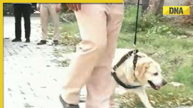 Resilient Punjab police dog defeats cancer, returns to duty; inspiring tale goes viral - Vimarsana News