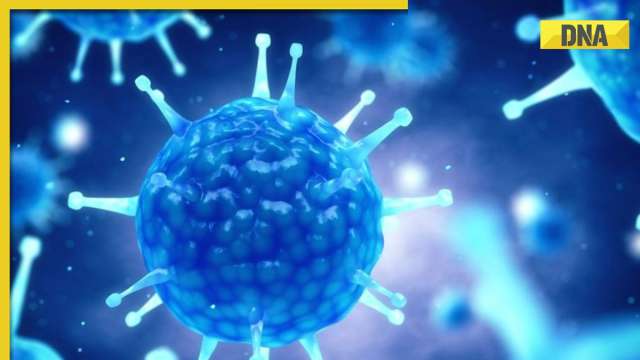 What is Disease X? WHO's deadlier pandemic warning raises alarm