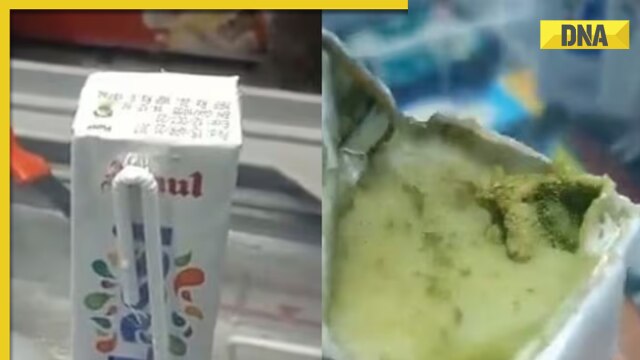 DNA Verified: Viral video showing fungus on Amul Lassi packets fake? Amul issues clarification, know truth