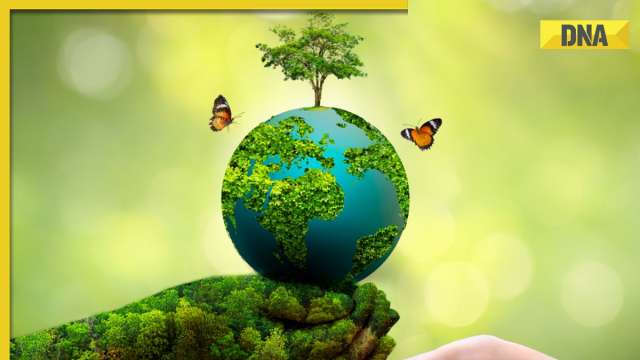 World Environment Day 2023: Date, history, significance and theme - Vimarsana News