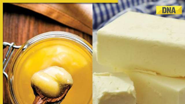 Noida News: Gang selling fake branded ghee, butter busted; 5 arrested - Vimarsana News