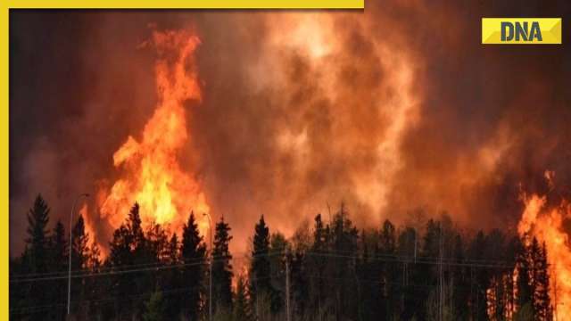 DNA Explainer: What is the cause of Canada wildfires and how it is affecting US?