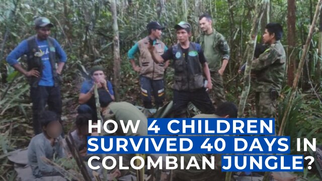 Family: 'Miracle' Amazon Jungle Survivors Were Fleeing, 49% OFF