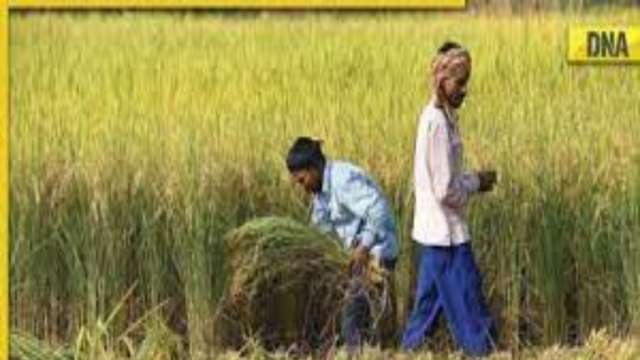 PM Kisan Samman Nidhi Yojana: Farmers likely to get 14th installment by THIS date, check beneficiary status - Vimarsana News