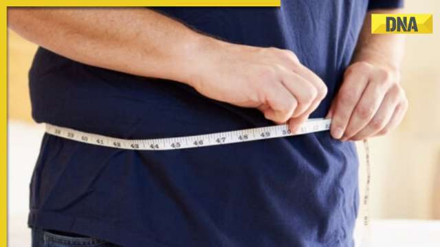 Study reveals employees who are obese might have a greater loss of productivity at work - Vimarsana News