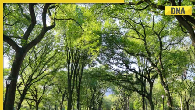 Delhi to have world's 2nd largest park, construction to cost Rs 450 crores, know facilities - Vimarsana News