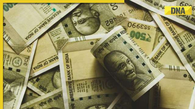 From PPF, SSY to ELSS: List of 4 tax saving schemes for women in India - Vimarsana News