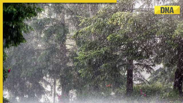 Weather update: Orange rain alert in Mumbai, schools shut in Goa; deaths reported in Karnataka, Punjab - Vimarsana News