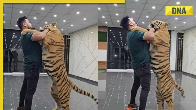 Pakistani Creator's Controversial Tiger Kiss Goes Viral