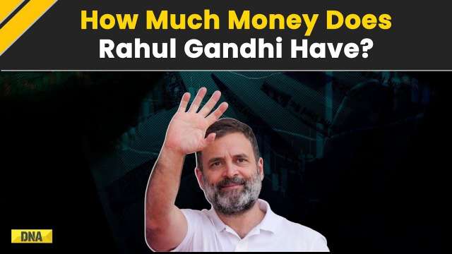 Lok Sabha Elections: How Much Wealth Does Congress Leader Rahul Gandhi Have? | Wayanad