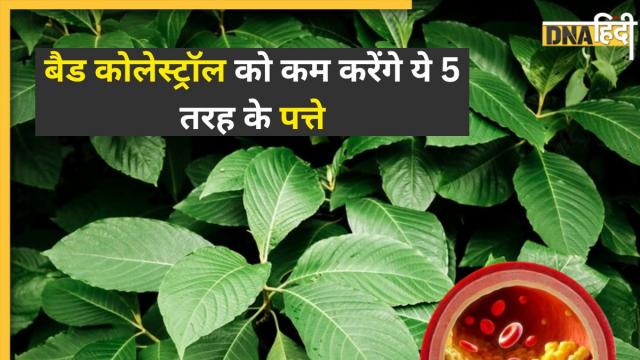 Leaves To Reduce Cholesterol