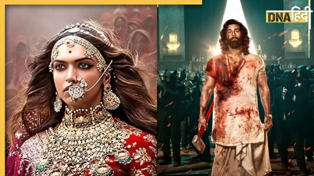 Animal, Padmaavat