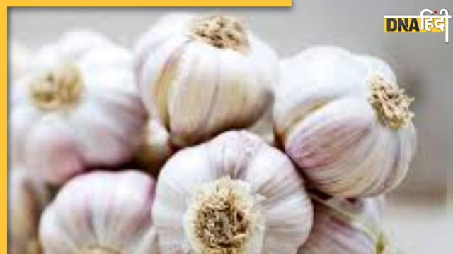 Garlic Benefits