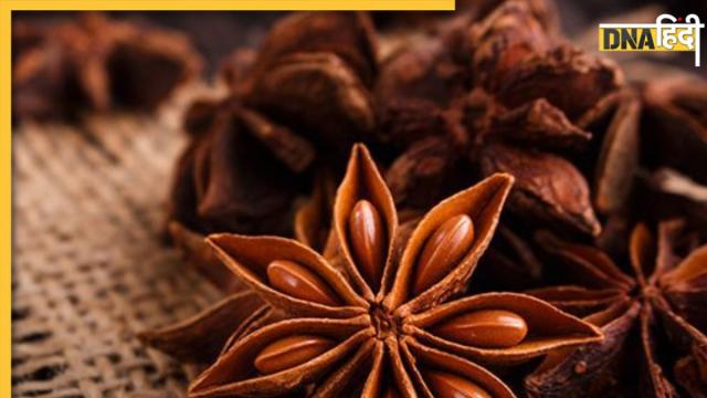 Star anise benefits in hindi,