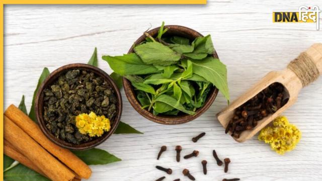 Ayurvedic Herbs