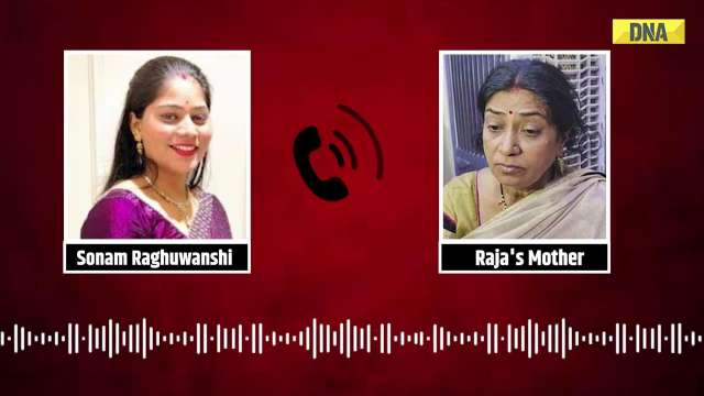 Raja Raghuwanshi News: Sonam's Last Conversation With Mother In Law Before Killing Raja