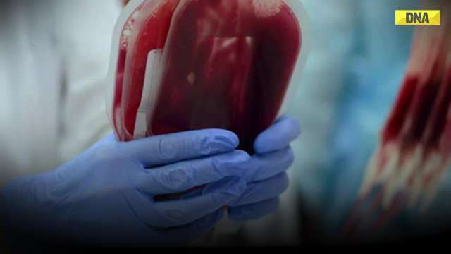 China Taiwan Conflict: Taiwan to Produce Its Own Blood Bags Amid Rising China Tensions