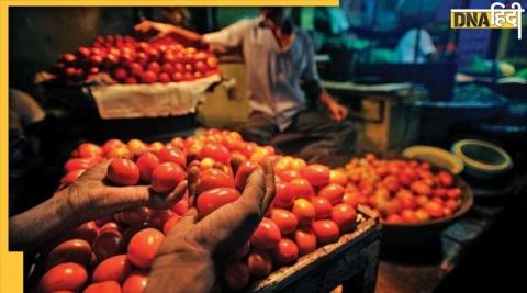 Retail price of tomato soars (Representative Image)