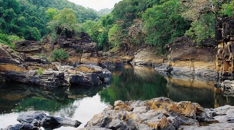 राज्य का एक तिहाई हिस्सा जंगलों से ढंका