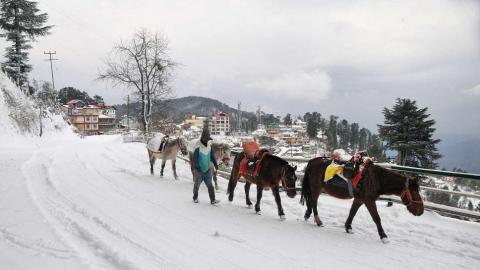 Manali: बर्फ से ढकी पहाड़ियां और हरियाली