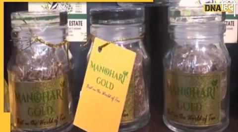 Manohari gold tea