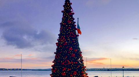 सदाबहार फर भी कहते हैं Christmas Tree को 