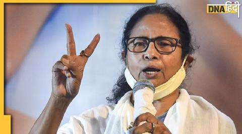 TMC massive win in civic polls