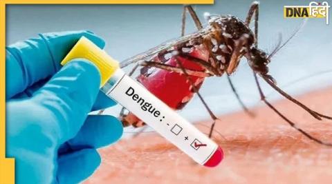 दिल्ली में Dengue का कहर, 6 और लोगों की मौत, 9500 से अधिक मामले दर्ज