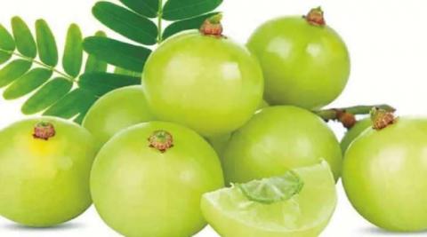 इम्यून सिस्टम को मजबूत बनाता है