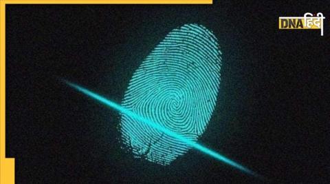 DNA एक्सप्लेनर: क्या हर व्यक्ति के Fingerprints होते हैं अलग? जलने-कटने से बदल जाते हैं ये निशान?