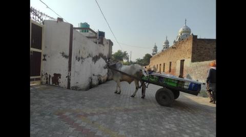 नहीं मिल पाया है आदर्श गांव का अवार्ड