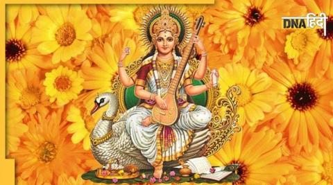 Sarasvati Puja 2022: बसंत पंचमी के दिन क्यों पहने जाते हैं पीले रंग के कपड़े? 