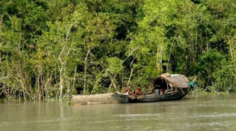 सुंदरवन का जंगल डेल्टा, रॉयल बंगाल टाइगर...बहुत कुछ है यहां