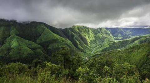 बारिश से हमेशा भीगा रहने वाला खासी जंगल 