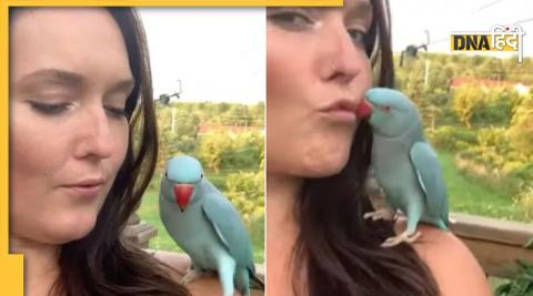 VIRAL Parrot Video