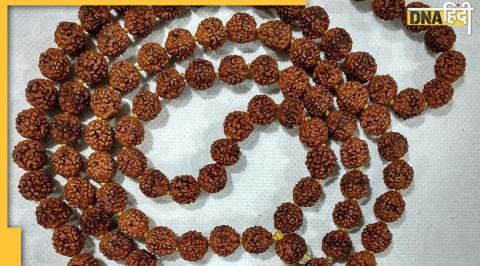 रुद्राक्ष के प्रकार, Types of Rudraksha, Rudraksha, Lord Shiva, Hindu Culture, Religion